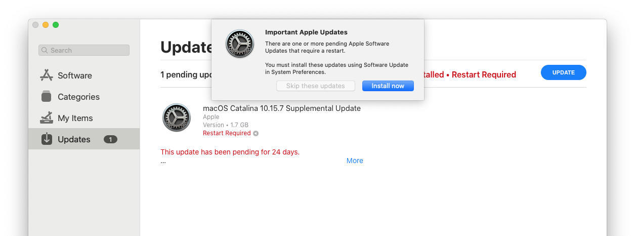 Apple Update Skip Choice